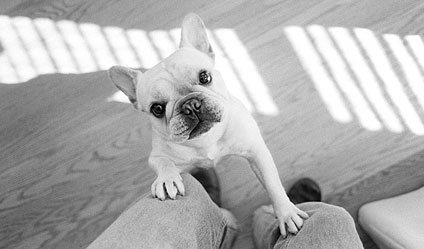 Who's cuter than me?