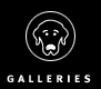Galleries