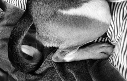 At rest