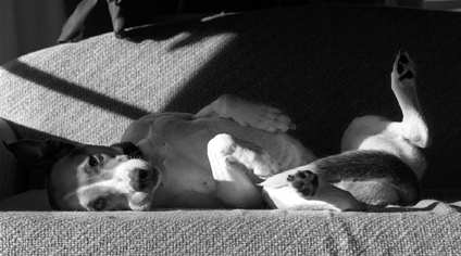Sun goddess